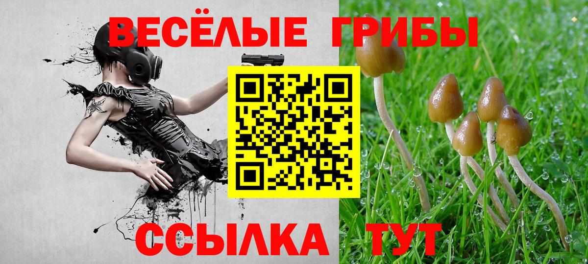 Галлюциногенные грибы прущие грибы  Вход с VPN  Новодвинск 